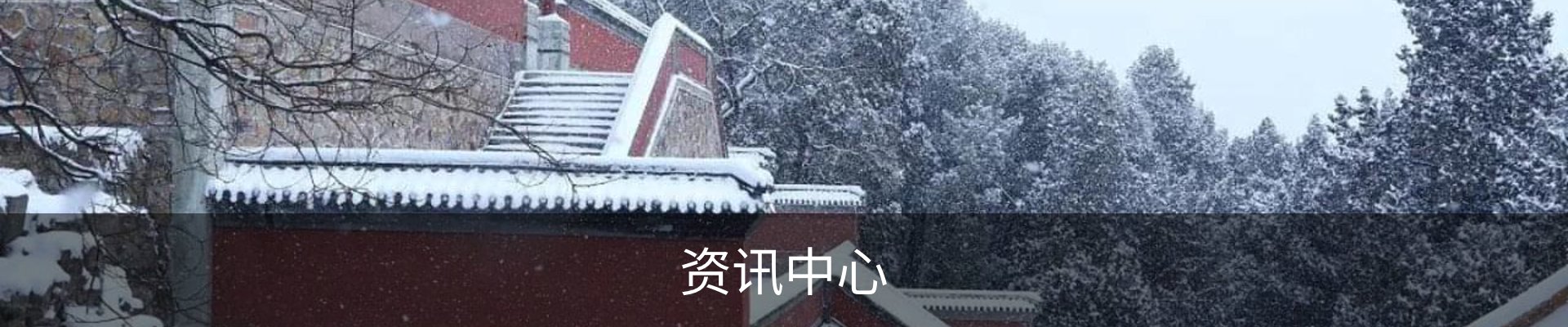 资讯中心