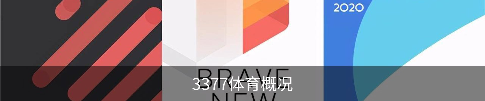 3377体育概况